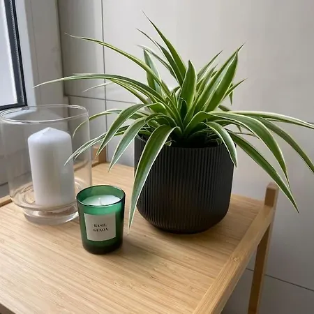 Апартаменты Modernes Studio, Zentral *